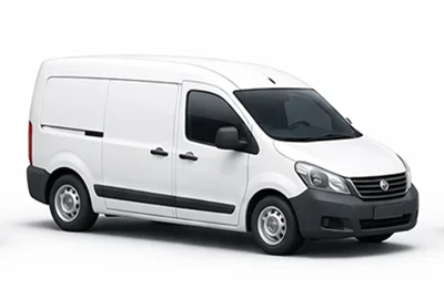 Taşıyıcı Panelvan Hyundai  H350 içinde BAVEGEM SINT LIEVENS HOUTEM Belçika